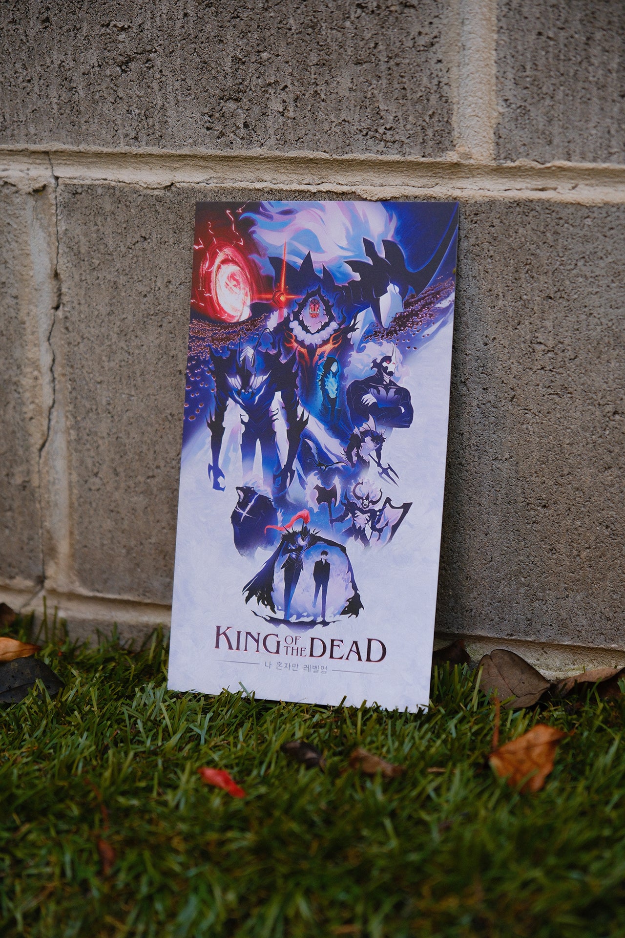 Solo Leveling Foil Print